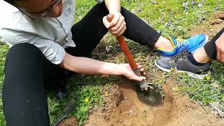 soil sampling from the different layers of soil [upl. by Miah592]