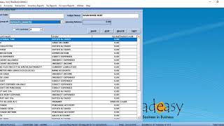 LEDGER OR ACCOUNT CREATION IN TRADEASY ACCOUNTING SOFTWARE [upl. by Anneyehc]