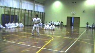 Shisochin  APKGS  OKINAWA GOJURYU KARATÉDO SHODOKAN [upl. by Pammie]