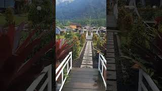 KEINDAHAN ALAM BEDUGUL BALI DIBAWAH GUNUNG fypシ゚viral shorts [upl. by Einnep567]