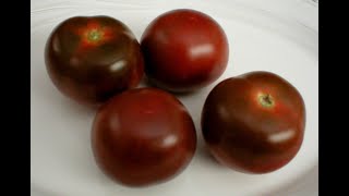 Kumato 101  About Kumato Tomatoes [upl. by Attelrac]