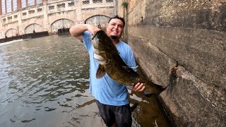 Catching Lttle River Monsters [upl. by Roselba]