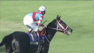 20200419 Satsuki Sho Japanese 2000 Guineas  Contrail [upl. by Kcirednek]