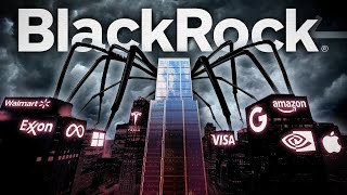 BlackRock The Most Shocking Conspiracy You’ve Never Heard Of [upl. by Doll]