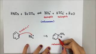 Mechanism of Nitration [upl. by Brook433]