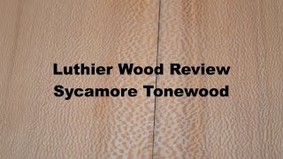 Tonewood Luthier Wood Review Sycamore [upl. by Derdle]