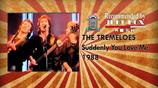 The Tremeloes  Suddenly You Love Me 1988 [upl. by Valorie896]