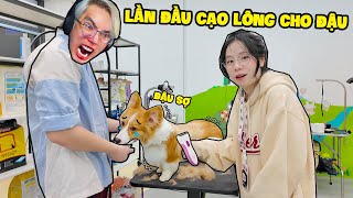 SAMMY LẦN ĐẦU CẠO LÔNG CHO ĐẬU [upl. by Veedis13]