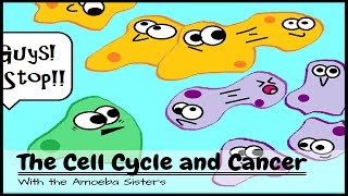 OLD VIDEO The Cell Cycle and Cancer [upl. by Lidstone]