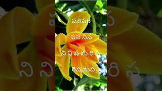 Sampangi movie song l Ninnu chusthunte Naa manase l Sampangi movie [upl. by Aiouqes456]