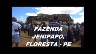 Lampião e a Fazenda Jenipapo [upl. by Ecyob]