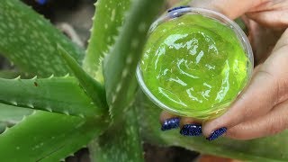 How to Make Aloe Vera Gel At Home Naturally [upl. by Nonad]