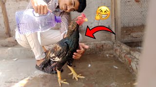 Panther Ko Nehla Diya 😅 Bhot Darta Hai Ye Pani Sy 😂 Pets Vlog [upl. by Hoskinson]