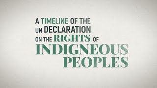 A timeline of the UN Declaration on the Rights of Indigenous Peoples [upl. by Elak]