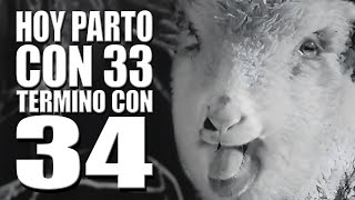 🥳 ¡Live Cumpleañero  Parto con 33 y termino con 34 🤔 [upl. by Yleak]