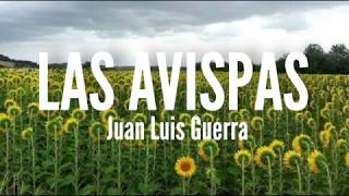 Las Avispas  Juan Luis Guerra Letra [upl. by Gottfried831]