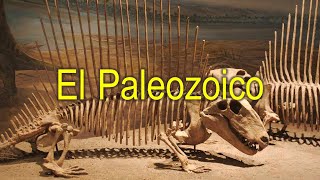 Eras geológicas parte 2 El paleozoico [upl. by Tedi]