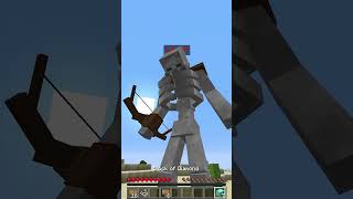 skeleton LVL 1 vs funny LVL 99 in Minecraft shorts meme memes [upl. by Lellih]