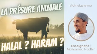 La PRÉSURE ANIMALE cest vraiment HALAL [upl. by Ys]