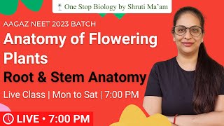 AAGAZ NEET 2023 Batch  Anatomy of Flowering Plants  Anatomy of Root amp Stem  Shruti Maam  OSB [upl. by Nerte]