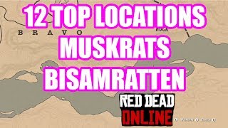 12 Locations Muskrats Bisamratten Red Dead Redemption 2 Online Deutsch [upl. by Ryhpez]