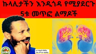 የኩላሊት ህመም ምልክቶችና መፍትሄዎች [upl. by Anida]