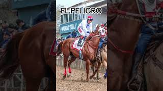 EL GOLDEN vs EL BRINCOS DIERAS vs EL PELIGRO carrerasdecaballos racinghorse final tonala viral [upl. by Ecidnak]