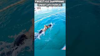 2x Your Swim Speed 🔥 Fast Swimming With Paddles freestyleswim swimming swim swimtechnique [upl. by Ennovaj123]