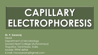 Capillary Electrophoresis CE [upl. by Uhp]