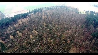 Sturmtief Friederike verwüstete Wälder in Osthessen Blick aus dem Hubschrauber [upl. by Ahgiela]