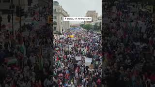 Tens of thousands fill the streets of Dallas for Palestine continuing wave of Texas protests [upl. by Ecinereb747]