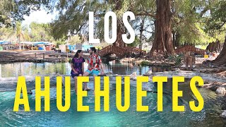 LOS AHUEHUETES PUEBLA 🌳 Balneario Natural de San Miguel Ayotla un paraíso escondido 😯 Guía 4K [upl. by Pedrotti]