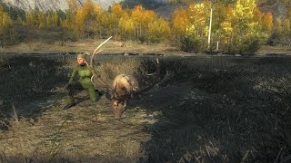 Epic Elk Hunt Mastering the Wilderness on The Hunter Classic [upl. by Merce]