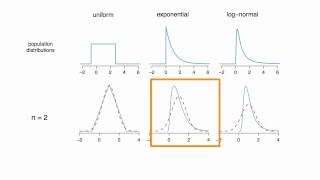 Central Limit Theorem for the Sample Mean [upl. by Norine103]