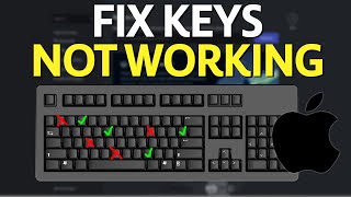 How to Fix Macbook Keys Not Working Easy Tutorial [upl. by Kcirrem]