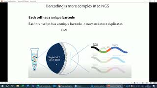 VIB Tech Training Cell Barcodes in 10x Genomics single cell sequencing [upl. by Riti]