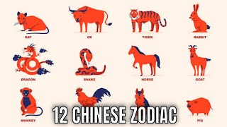 The 12 Chinese Zodiac Signs amp What They Mean for Your Personality And The Year Ahead  Ziggy Natural [upl. by Susanna]