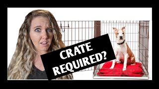 Is a Crate REQUIRED to Fix Dog Separation Anxiety [upl. by Esina]