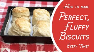 How to Make Perfect Fluffy Biscuits EVERY TIME 3 ingredients selfrising flour milk amp butter [upl. by Memberg]