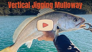 Sydney Mulloway On Jigs [upl. by Lelah]