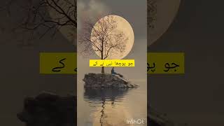 wo SHERY mohabbat jhan mustfa han when ghr bnanay ka Dil Chahta h [upl. by Wing97]