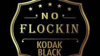 Kodak Black No Flocking Acapella [upl. by Genna861]