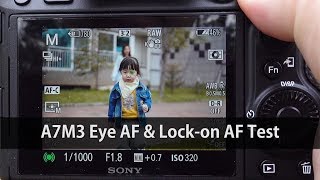 Sony A7M3A7III Eye AF amp Lockon AF Test [upl. by Gnous]