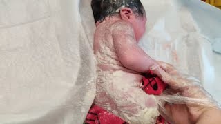 Newborn baby just after birth only few seconds old covered in Vernix Caseosa babiesvideos video [upl. by Ojibbob512]