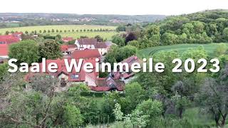 Saale Weinmeile 2023  Von Roßbach Naumburg bis zur Gaststätte Fischhaus [upl. by Llekim613]