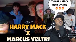 I Need A Album From H MACK amp VELTRI quotHarry MACK x Marcus Veltri quot Omegle Bars 32 REACTION [upl. by Horst]