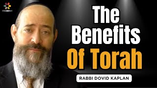 The Benefit of Torah  Parshat Bechukotai  Rabbi Dovid Kaplan on the Weekly Torah Portion [upl. by Oiramat350]