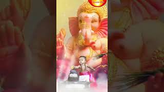 Ganapati bappa morya ganesh ganpati shorts viralshorts trending [upl. by Kcirdec489]