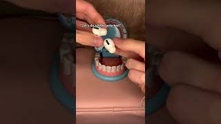 Dentist asmr asmrvideos satisfying [upl. by Entirb640]