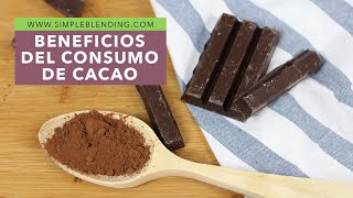 BENEFICIOS DEL CONSUMO DE CACAO  El cacao como superalimento  Por qué consumir cacao [upl. by Doone610]